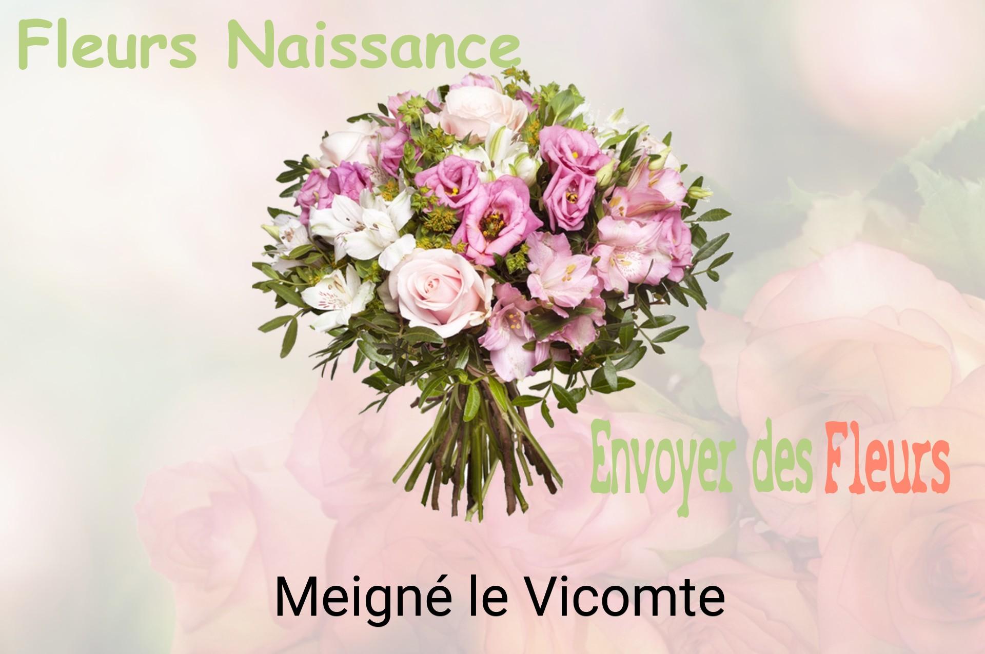 Bouquet de fleurs de naissance livré à Meigné-le-Vicomte