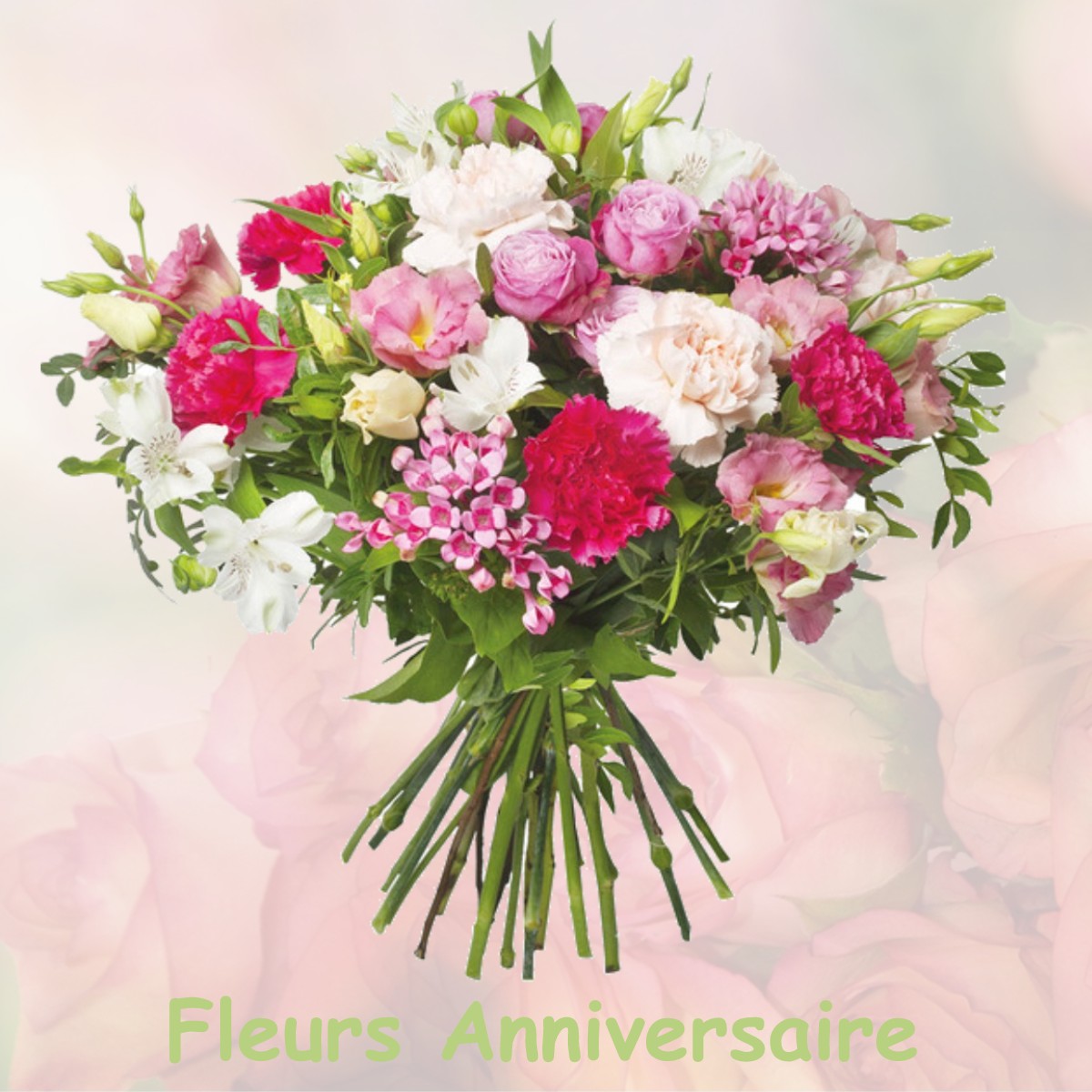 fleurs anniversaire MEIGNE-LE-VICOMTE