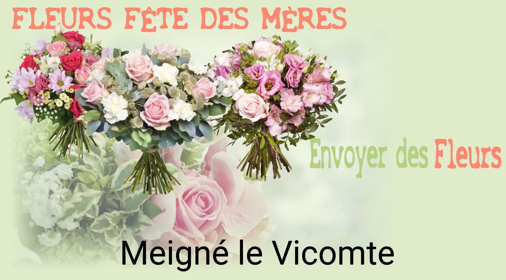 Bouquet de Fête des Mères livré à Meigné-le-Vicomte